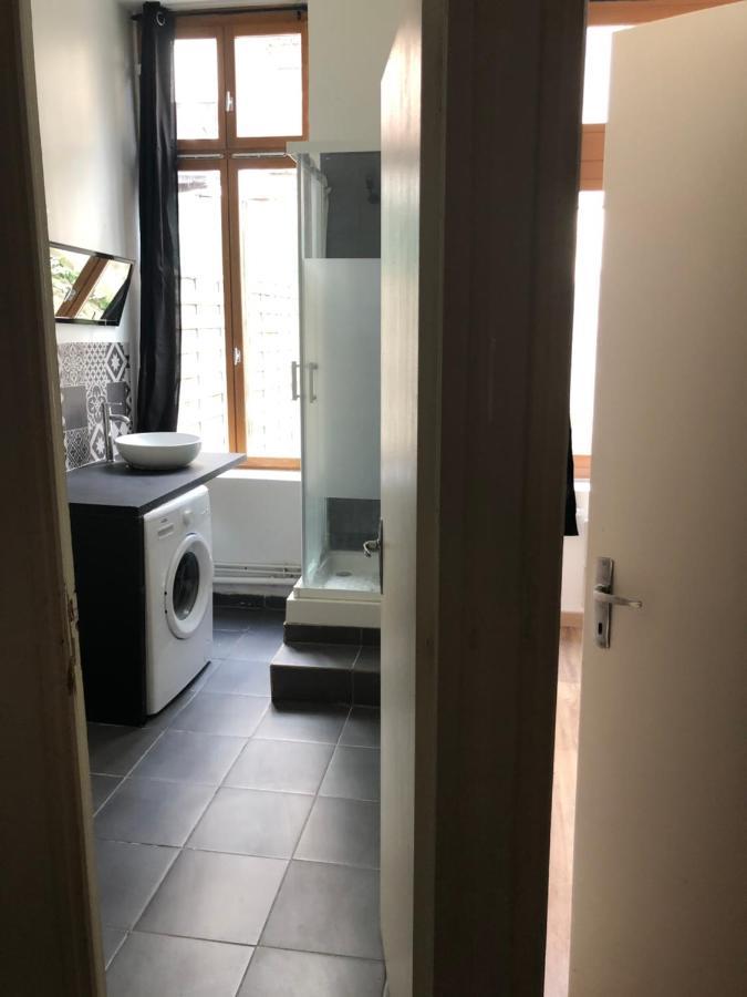 Appartement Et Son Jardin A Lille Fac De Droit 외부 사진